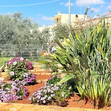 Apulia Comfort Triggianello