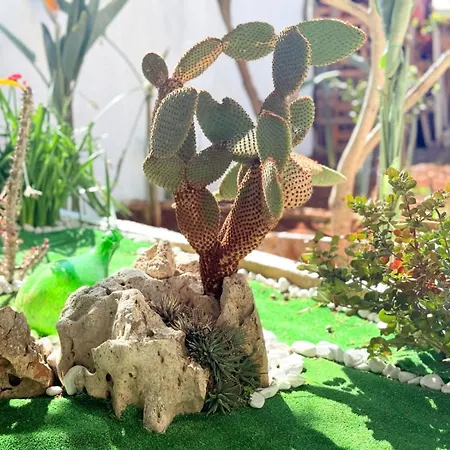 Apulia Comfort * Triggianello