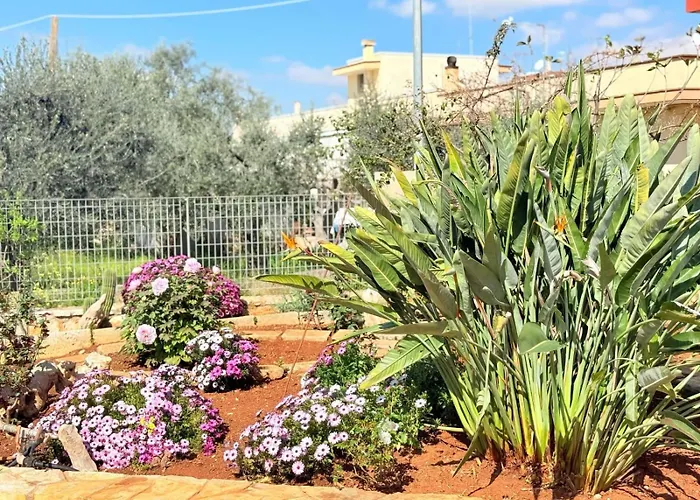 Apulia Comfort Triggianello